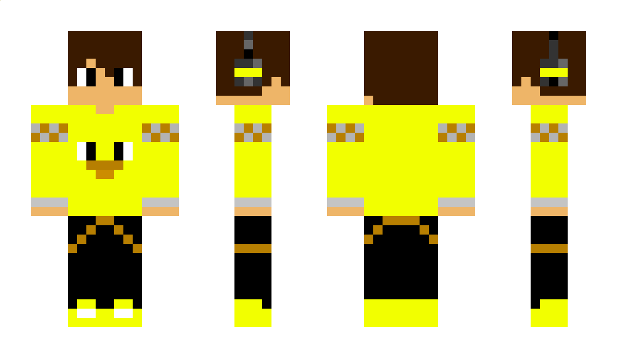 swedon Minecraft Skin