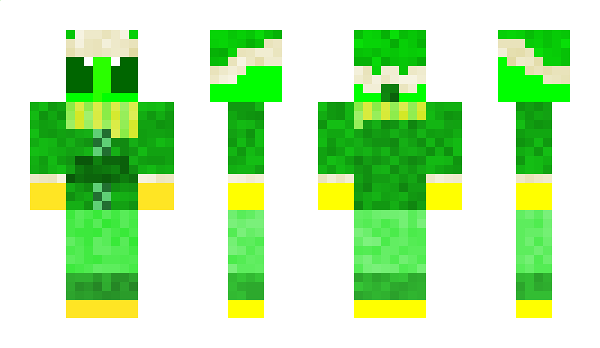 repeec Minecraft Skin