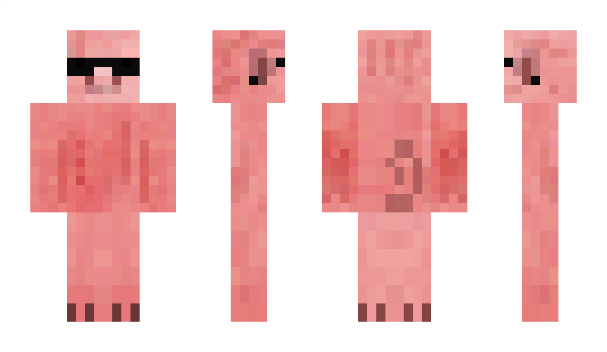 GoDEx Minecraft Skin