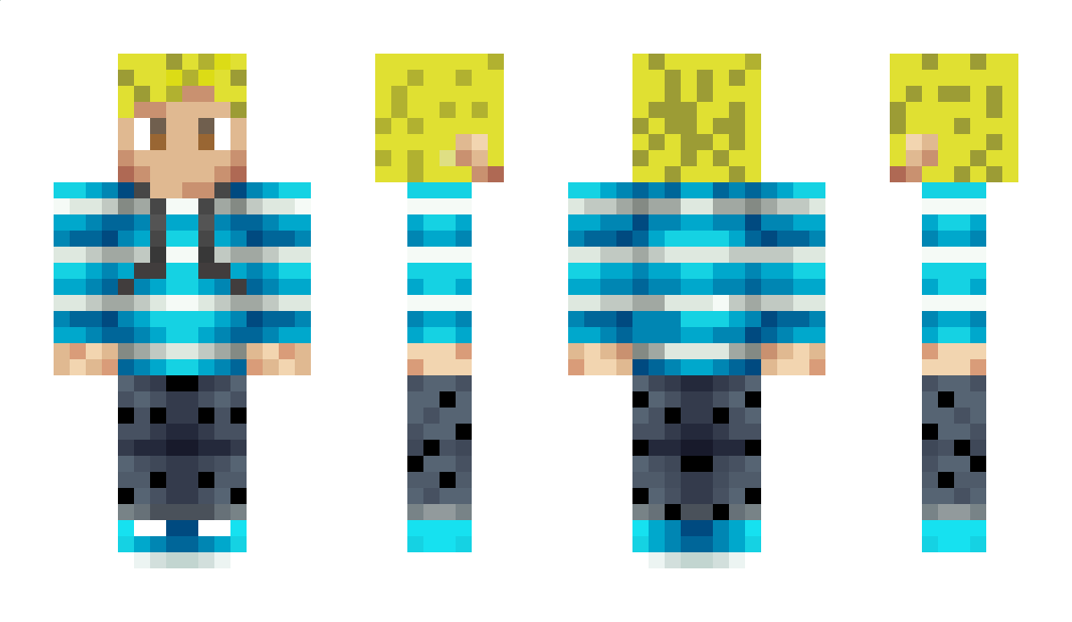 RemoteTravel Minecraft Skin