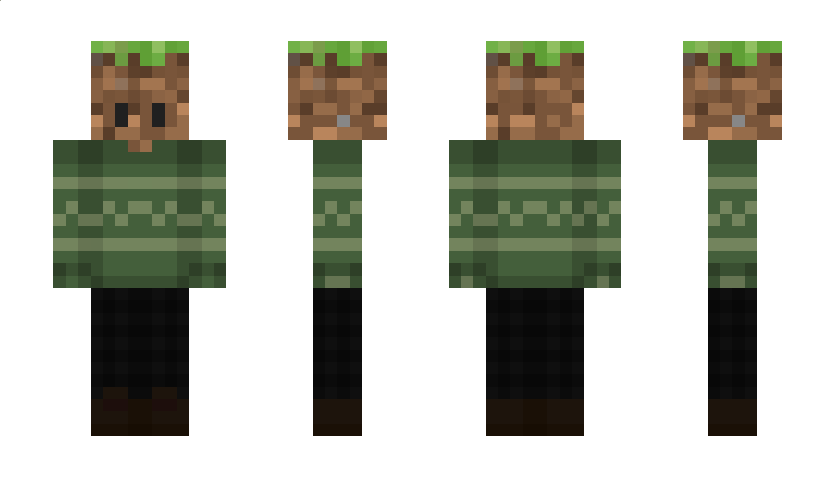 luckfr_ Minecraft Skin