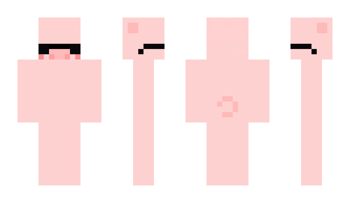 Schweine Minecraft Skin