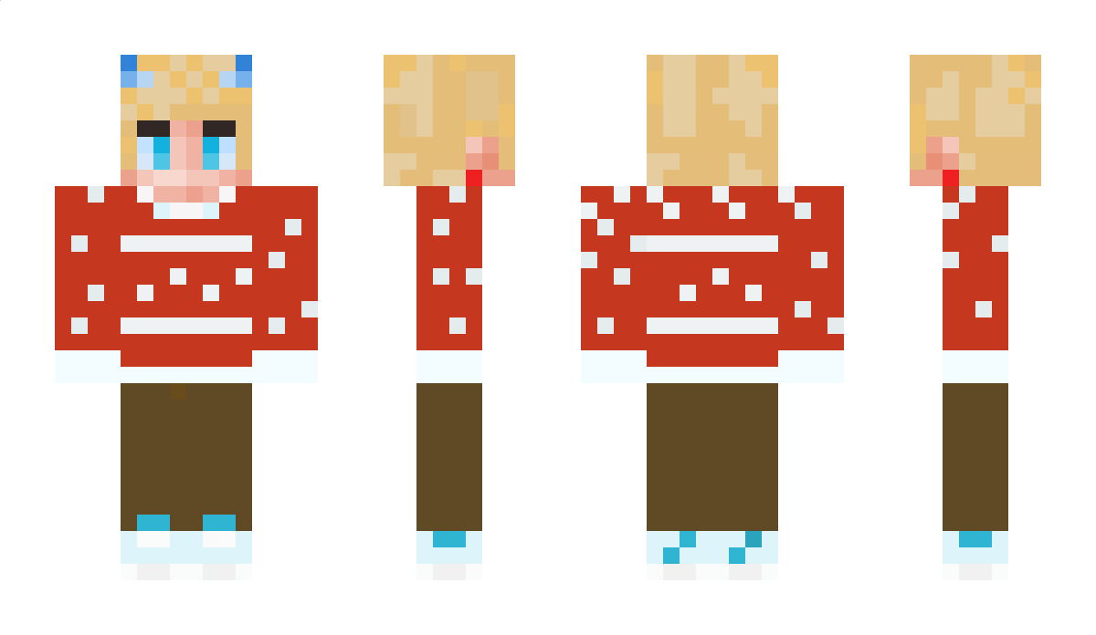 DinLokaleDansker Minecraft Skin