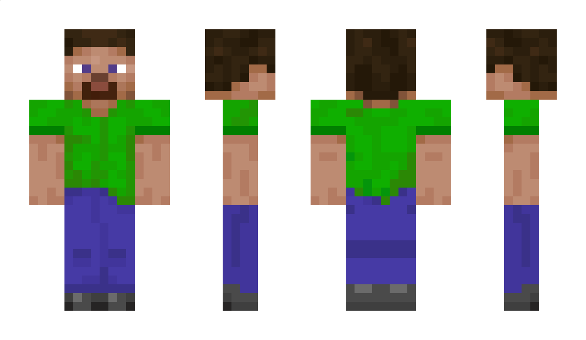 PeterMineRaft Minecraft Skin