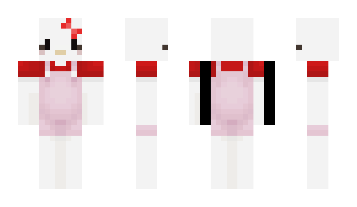 DSM Minecraft Skin