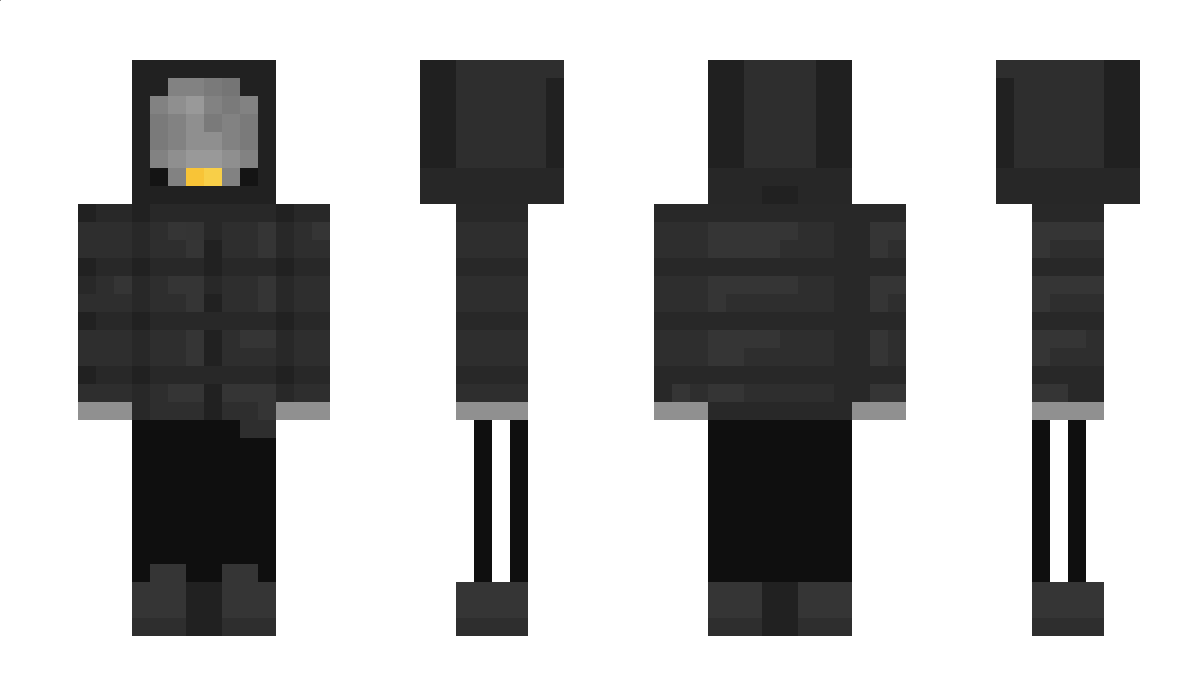 LosaLife Minecraft Skin