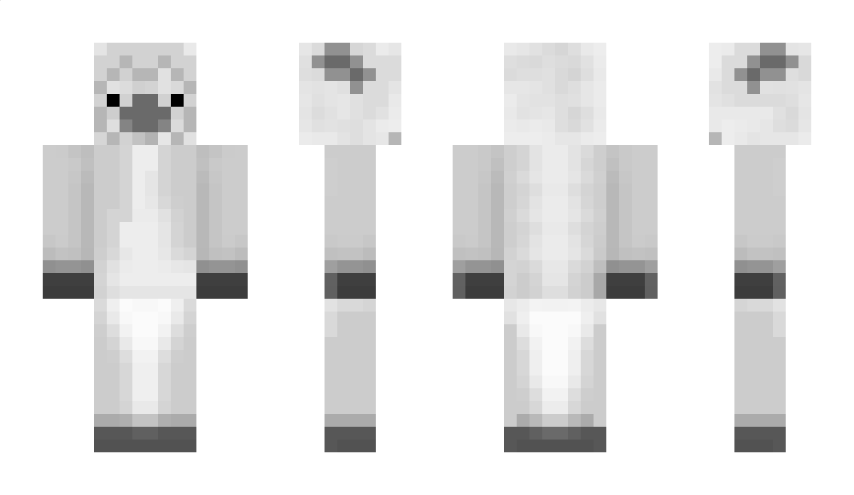 RamseyS Minecraft Skin