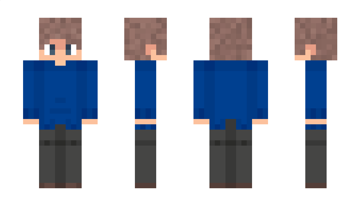 xDomikPL Minecraft Skin