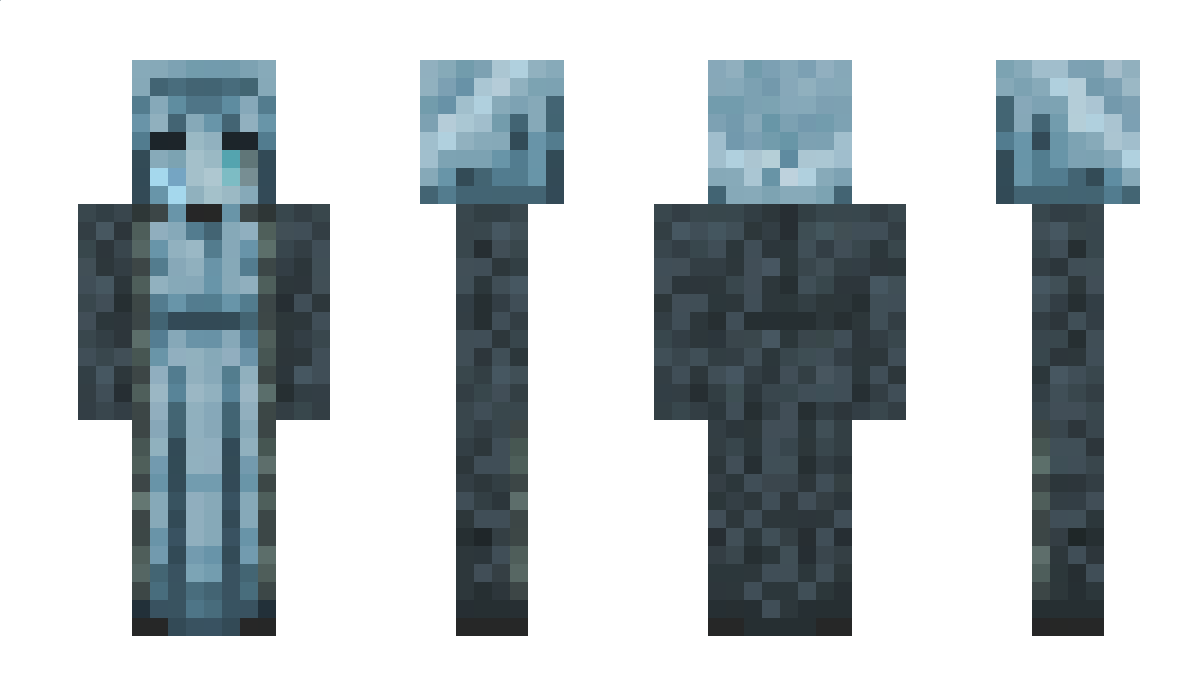 Rewarders Minecraft Skin