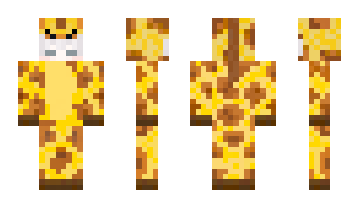 HENOUSHEDI Minecraft Skin