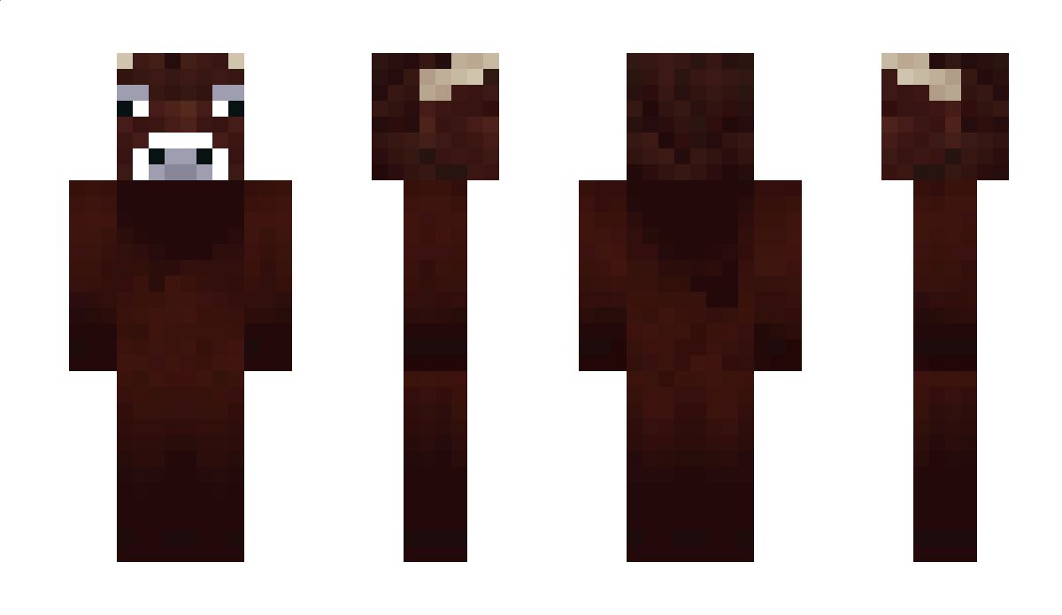 SixtyFive65 Minecraft Skin