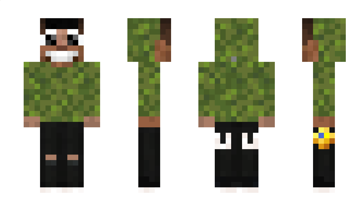 sk1pped Minecraft Skin