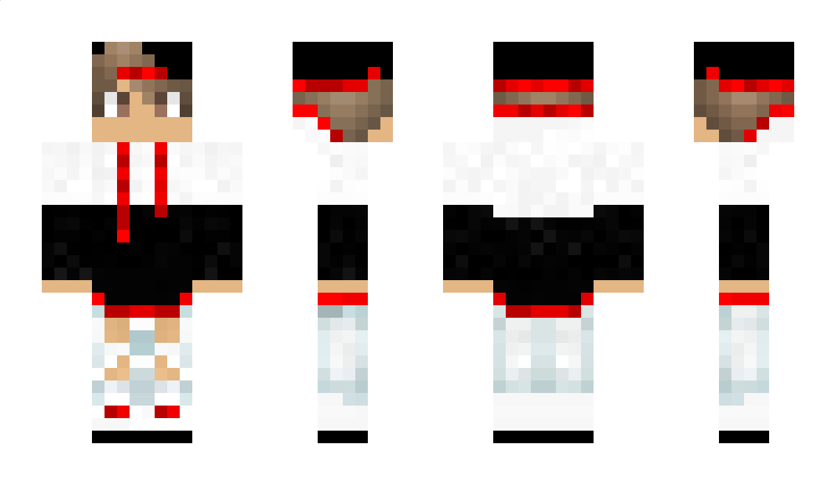 KingLlama_ Minecraft Skin