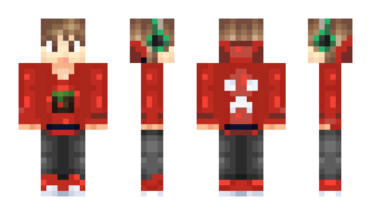 TASG2012 Minecraft Skin