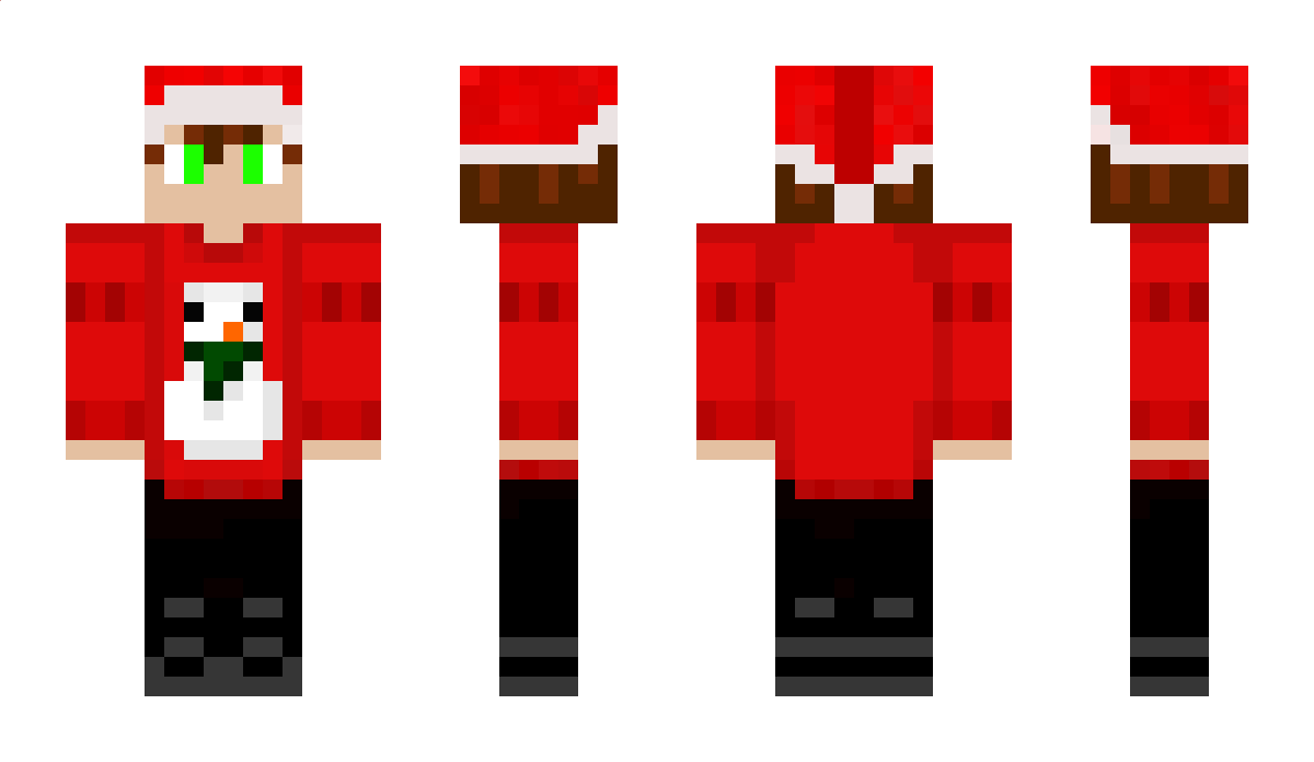 Robin163xpt Minecraft Skin