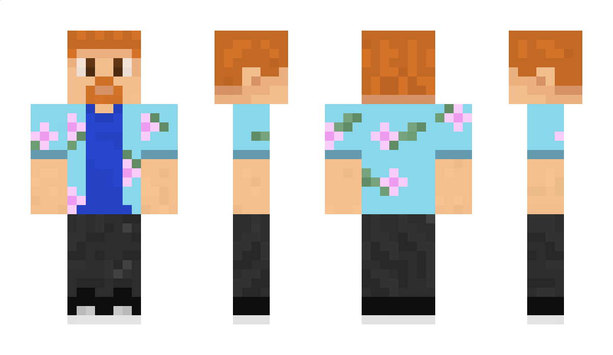 Sully_The_Dude Minecraft Skin