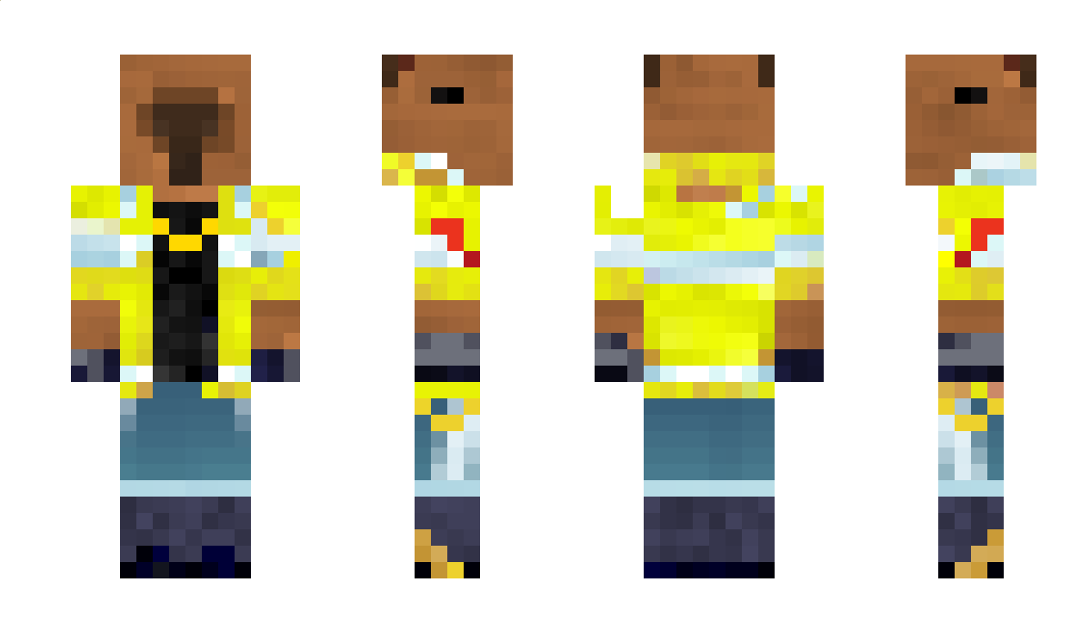 Hamnm Minecraft Skin