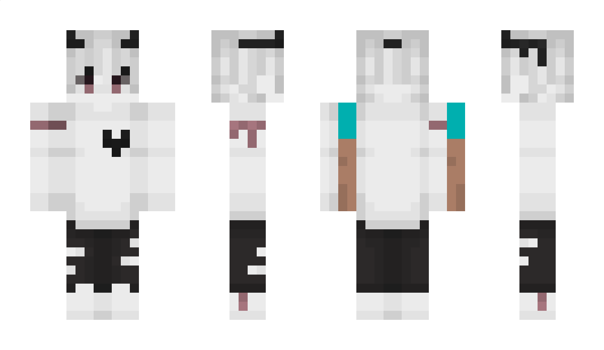 DandyYT Minecraft Skin