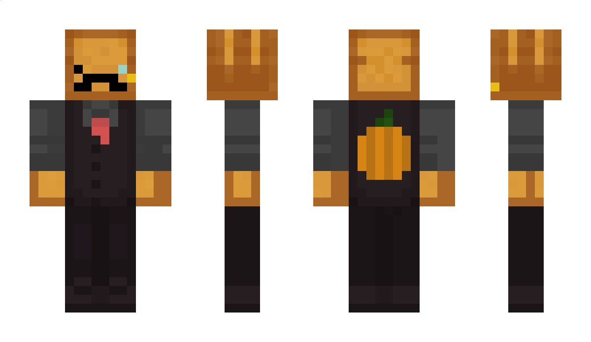 Toasty4977 Minecraft Skin