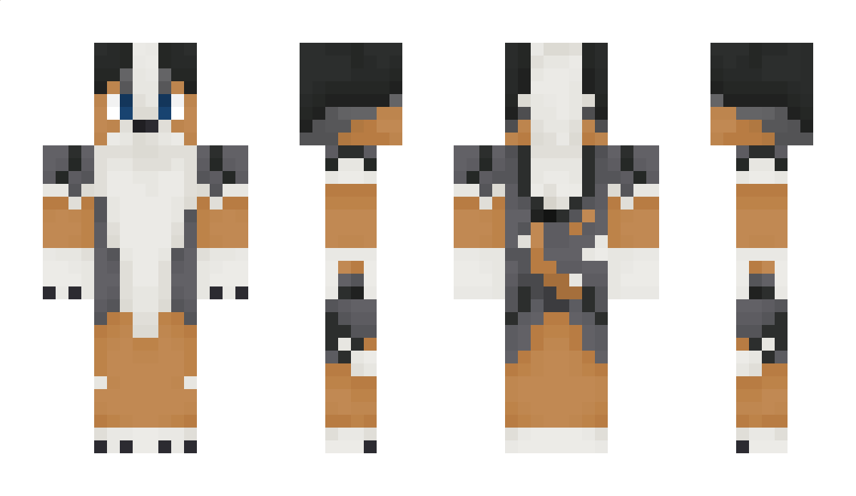 Auxl Minecraft Skin