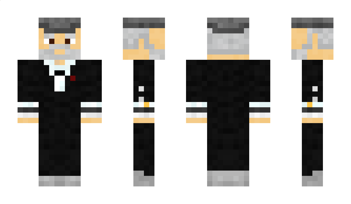 Passt Minecraft Skin