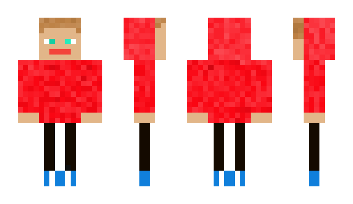 NIMETON2 Minecraft Skin