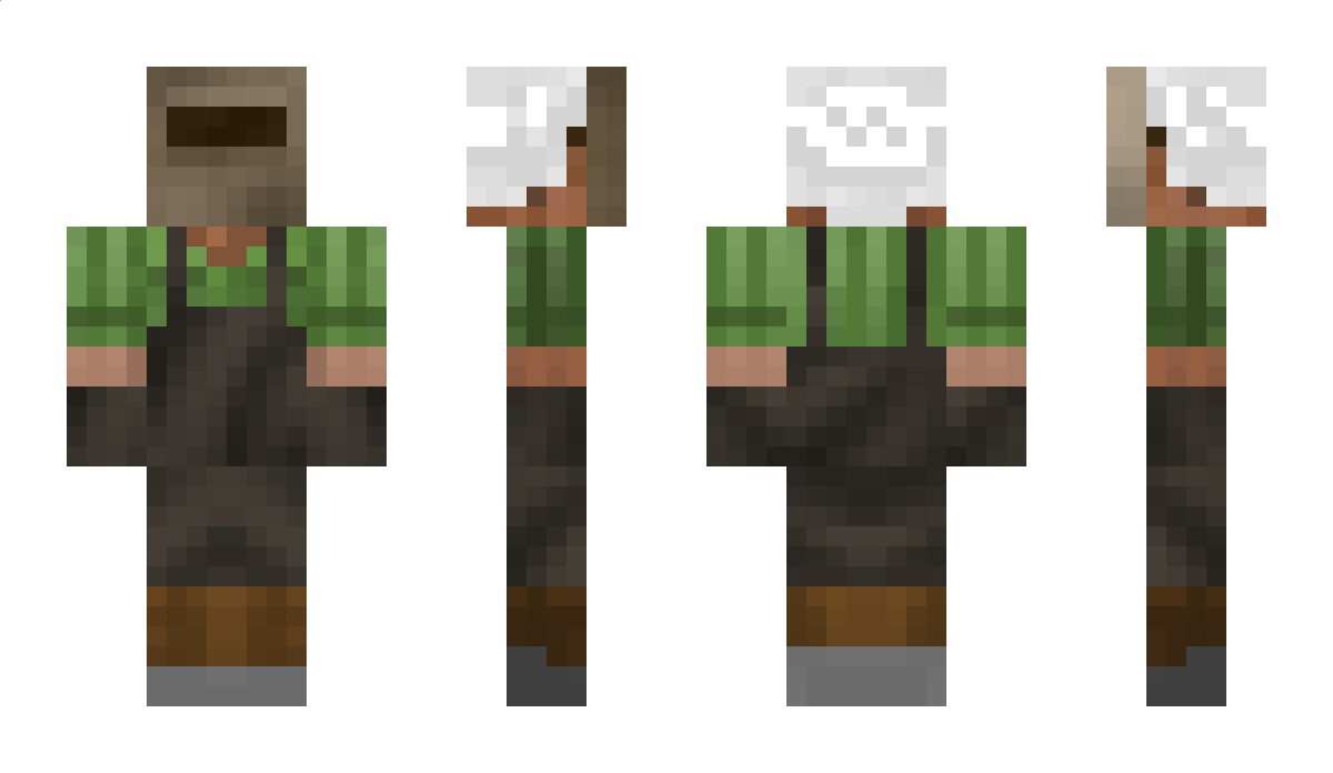 demignome Minecraft Skin