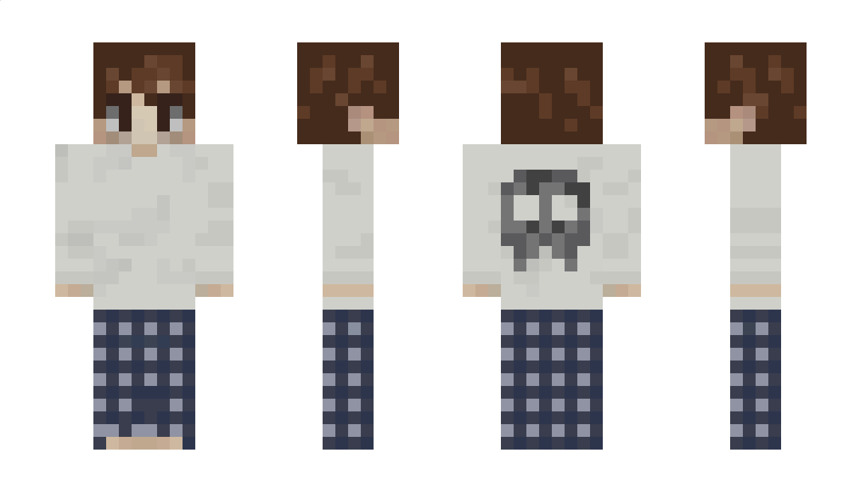 aidaniscool Minecraft Skin