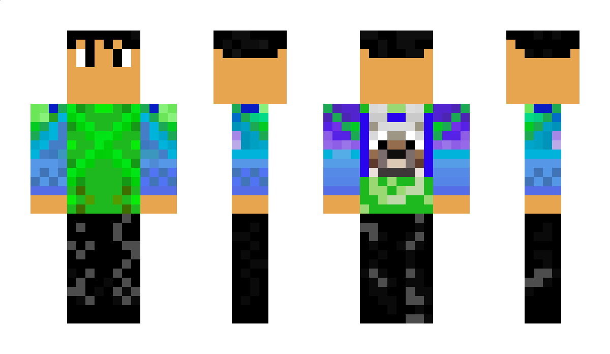 DashyX1 Minecraft Skin