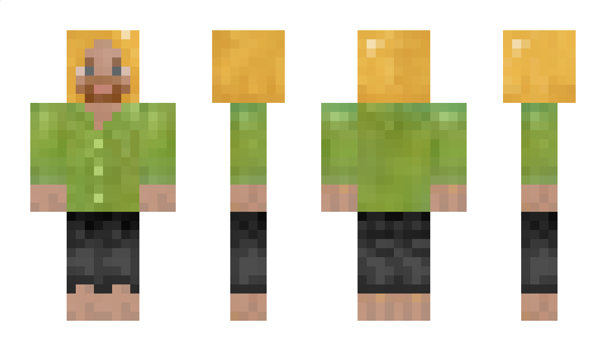 b_r_a_y Minecraft Skin