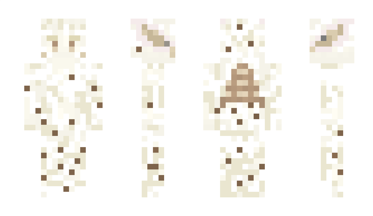 RicRudo Minecraft Skin