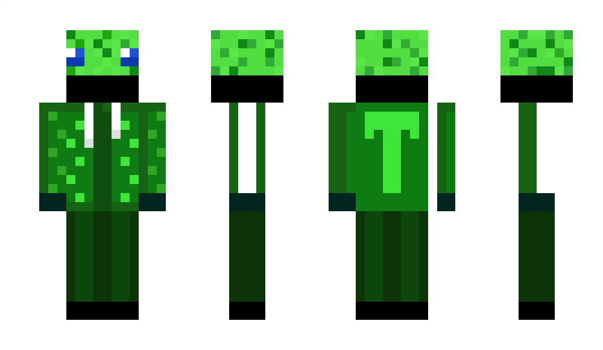 TurtSurf Minecraft Skin