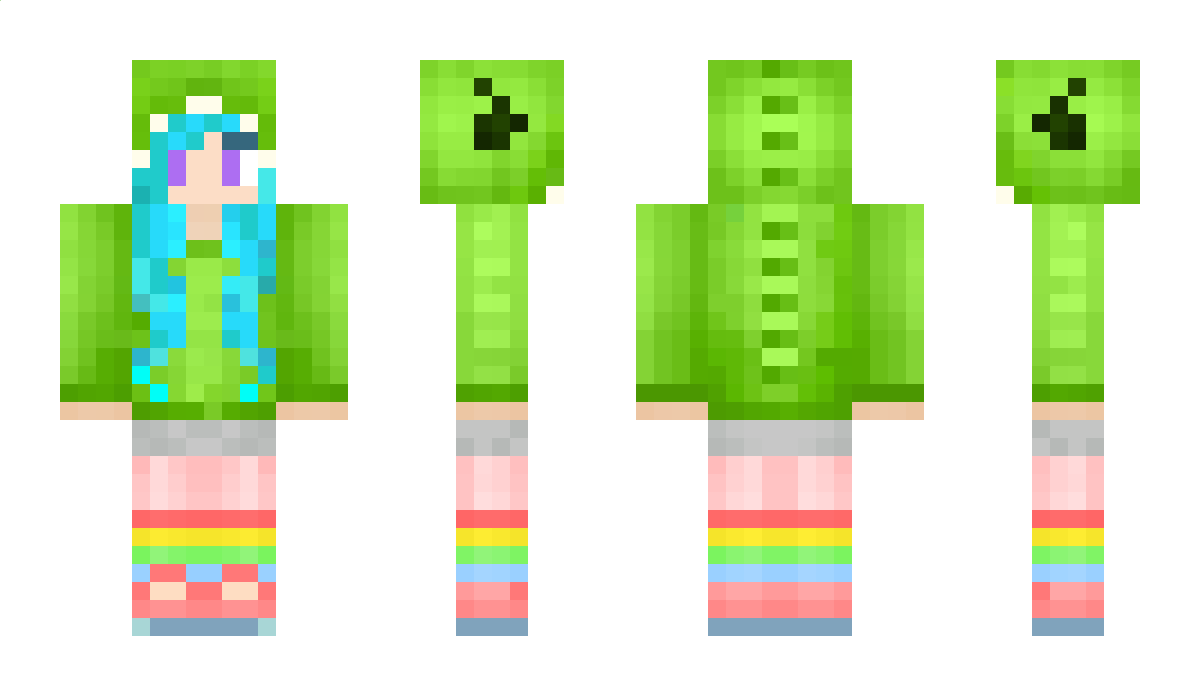 hollyllama Minecraft Skin