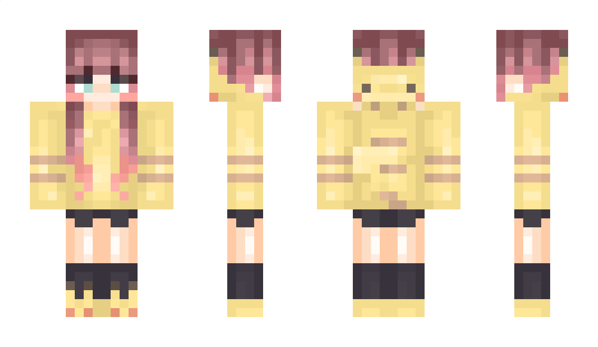 SD_N Minecraft Skin