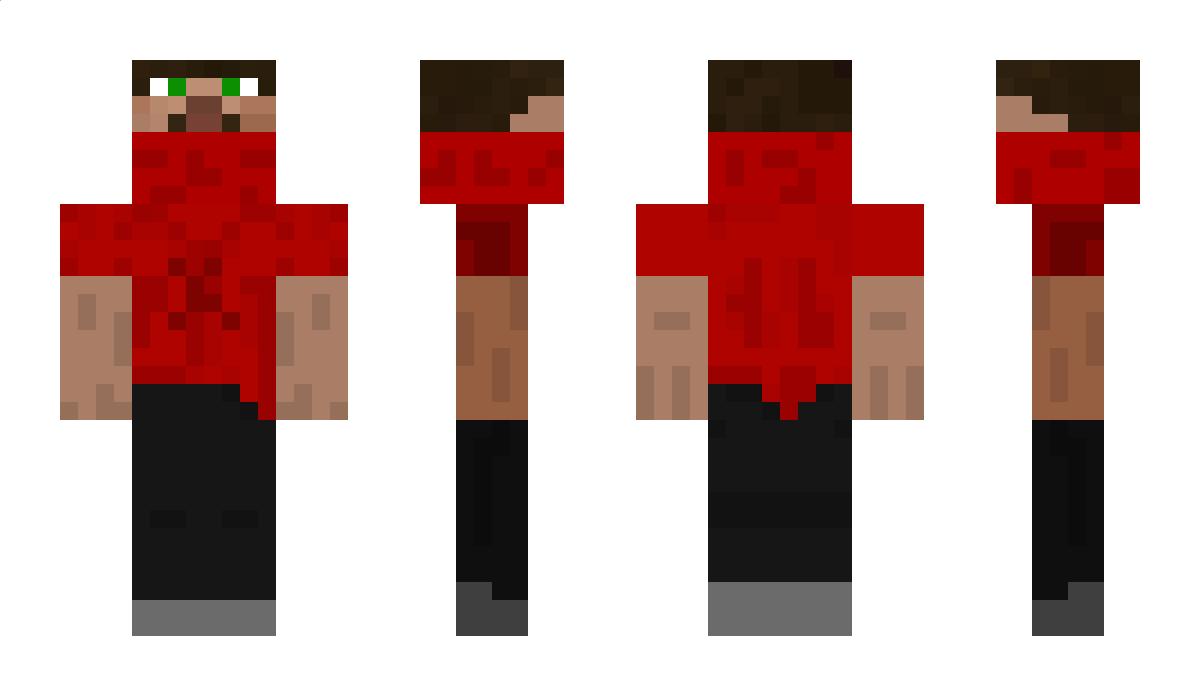 GatoDisc Minecraft Skin