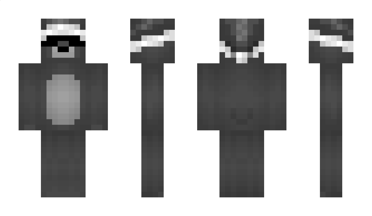 CxHxAxR Minecraft Skin