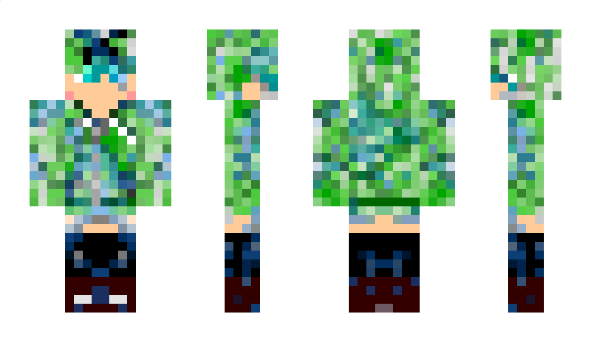 204 Minecraft Skin