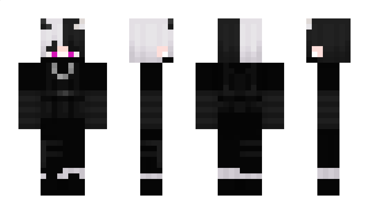 Witaliss Minecraft Skin