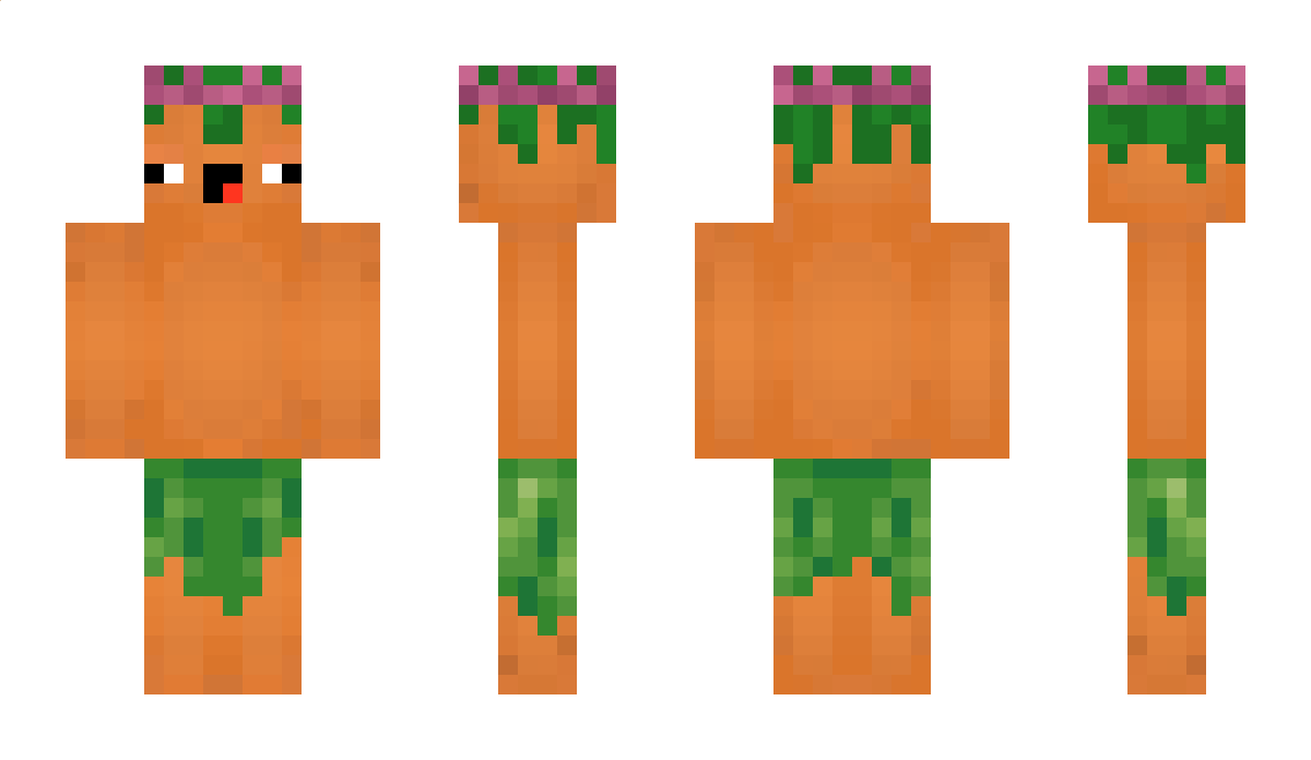 Carrut Minecraft Skin