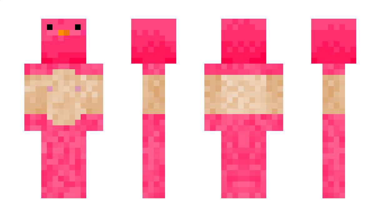 Aoch1 Minecraft Skin