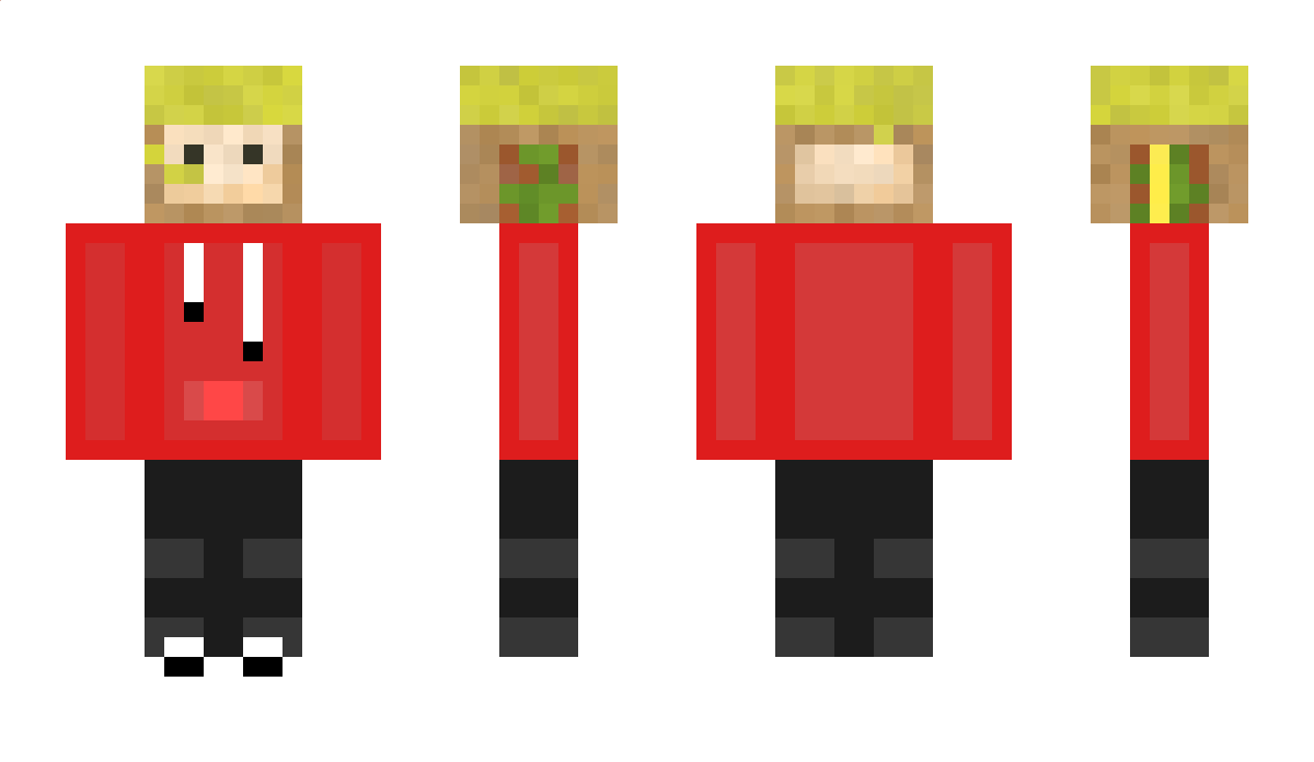 dtuler Minecraft Skin