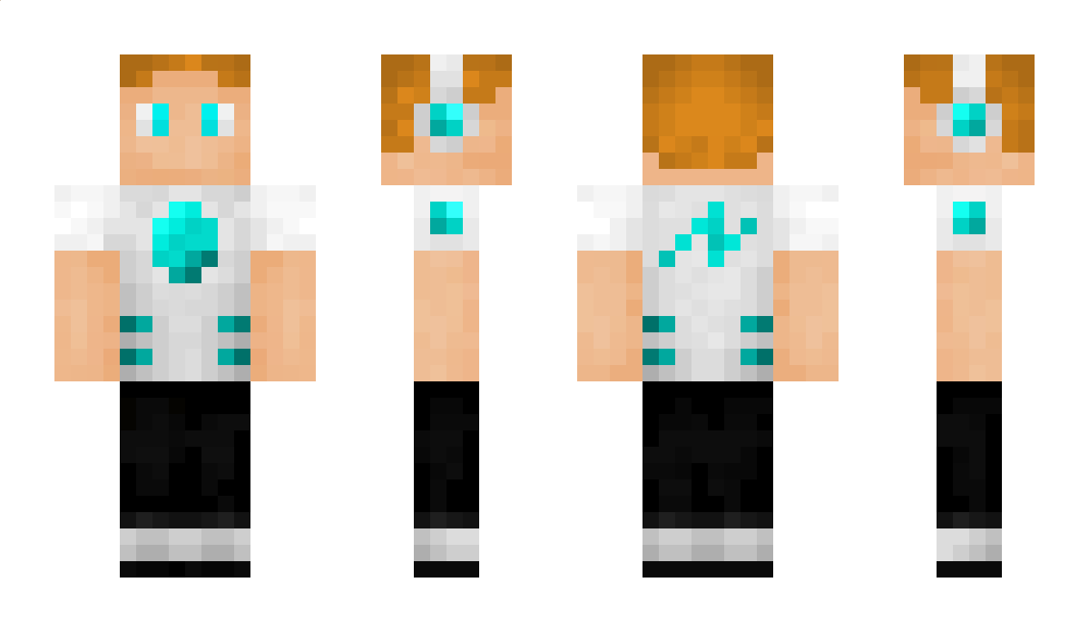 Avient Minecraft Skin