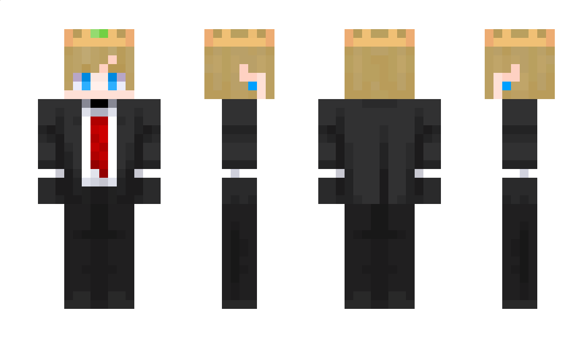 __MiniLink__ Minecraft Skin