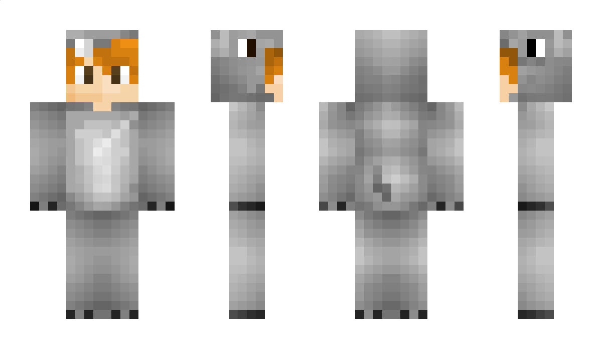 JustHippo_ Minecraft Skin