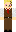 WoodTurtle69 Minecraft Skin