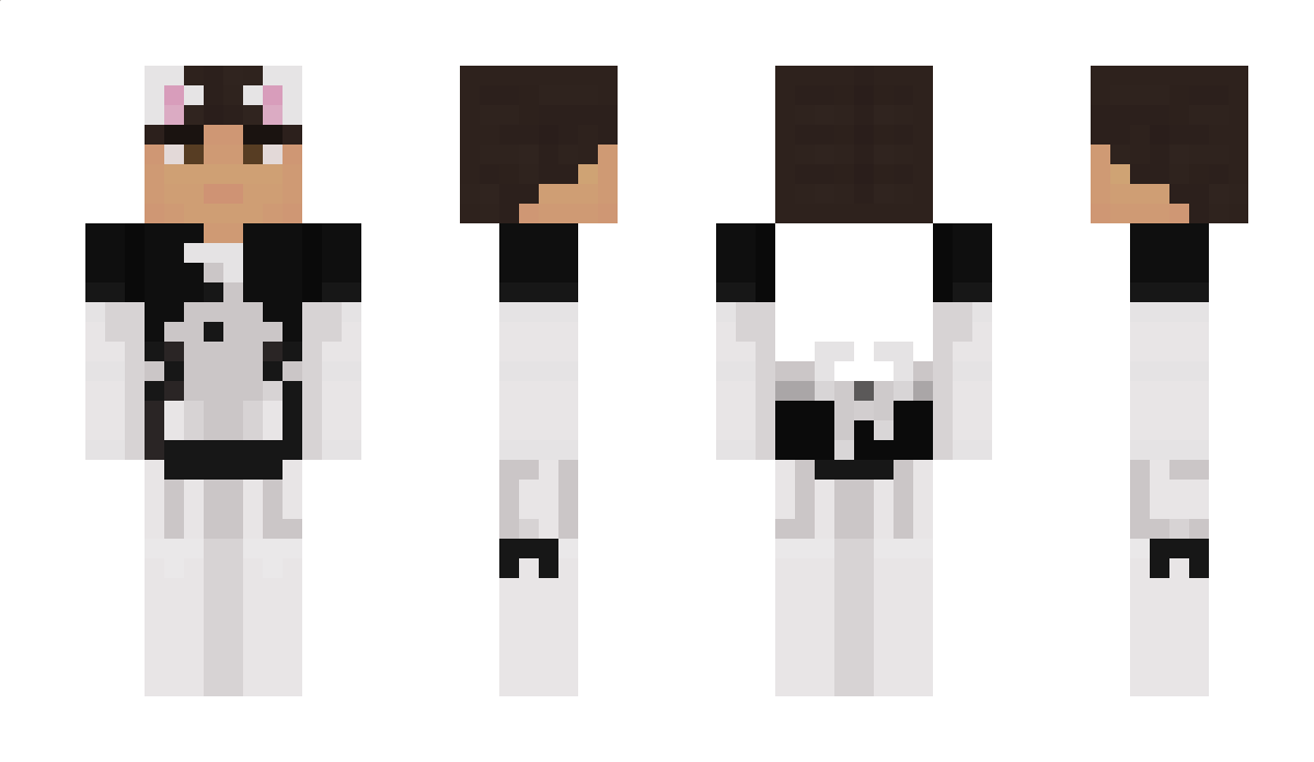 FlimeusDash Minecraft Skin