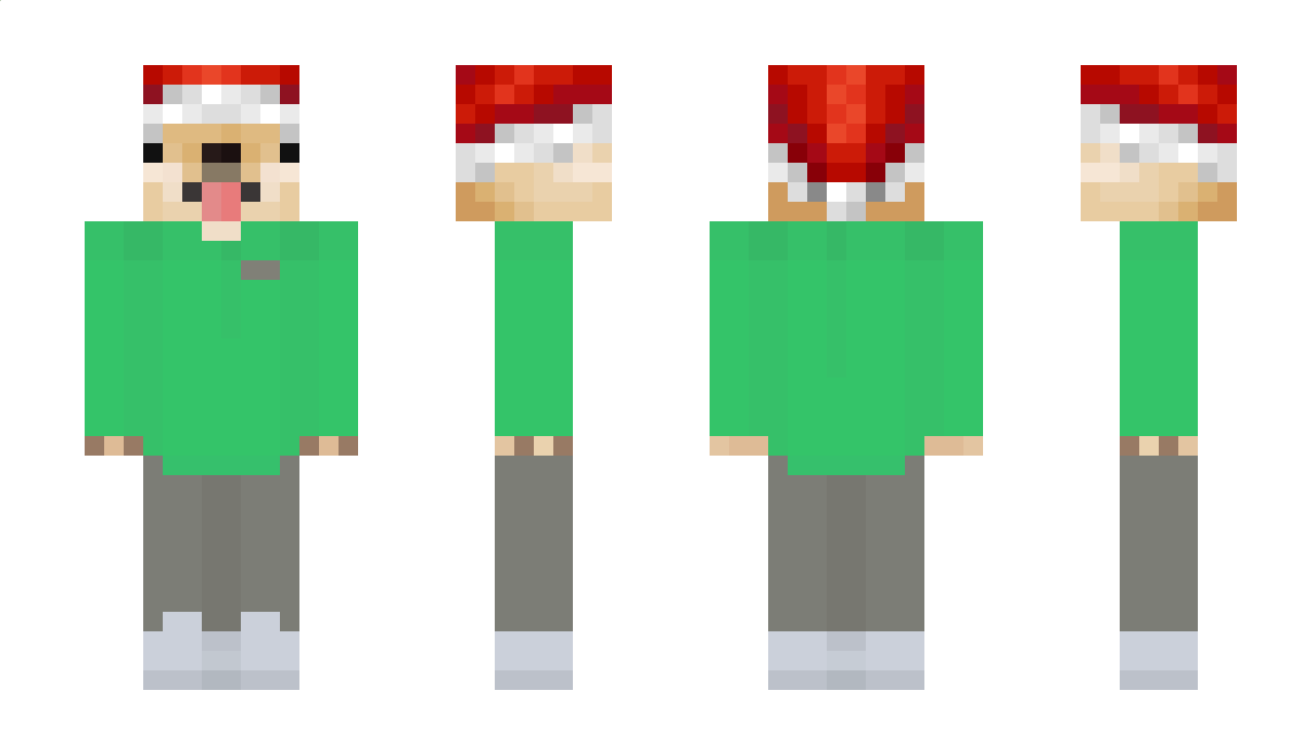 karmadlapsa12 Minecraft Skin