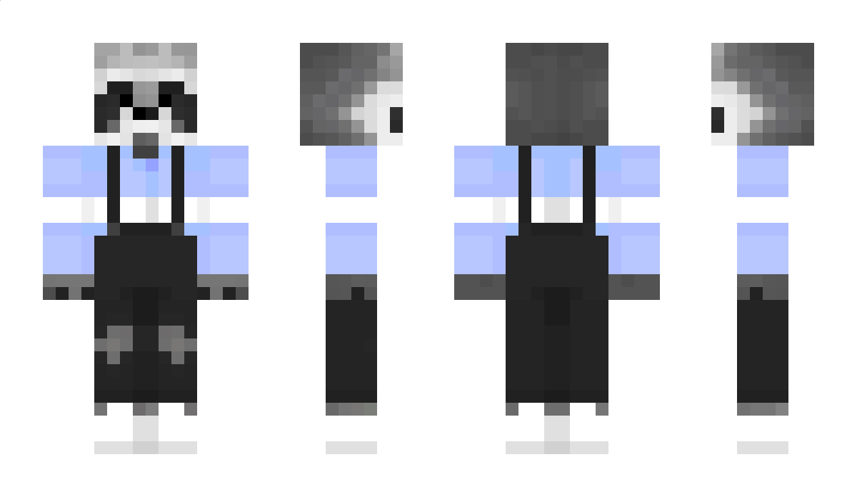 RACC0N Minecraft Skin