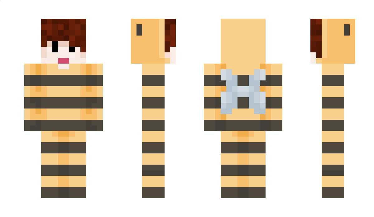 BrazyPlayz Minecraft Skin