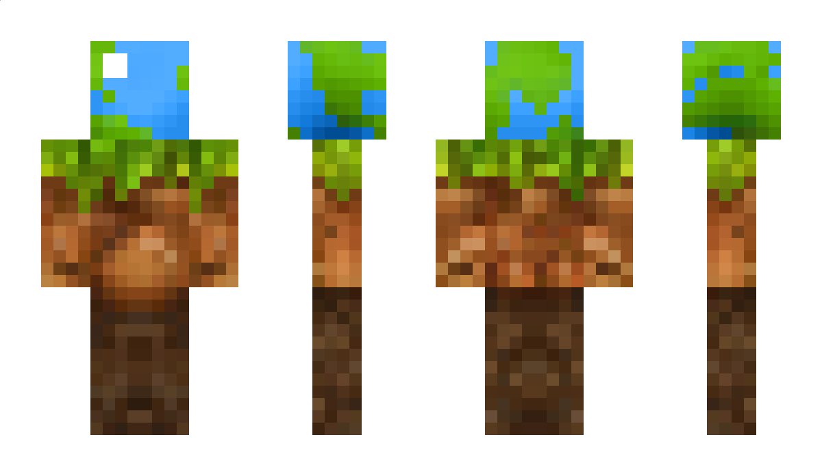 9971 Minecraft Skin